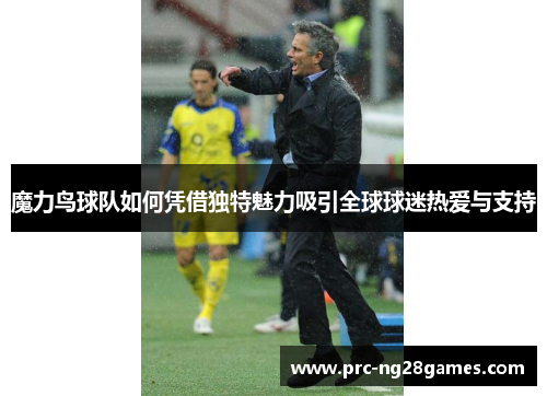 魔力鸟球队如何凭借独特魅力吸引全球球迷热爱与支持