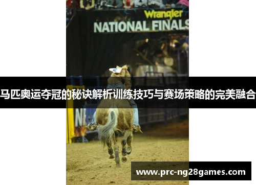 马匹奥运夺冠的秘诀解析训练技巧与赛场策略的完美融合 马匹奥运夺冠的秘诀解析训练技巧与赛场策略的完美融合