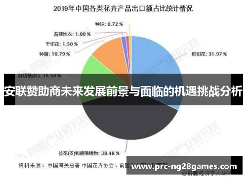 安联赞助商未来发展前景与面临的机遇挑战分析