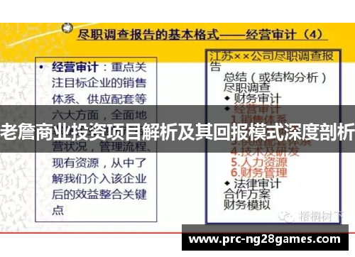 老詹商业投资项目解析及其回报模式深度剖析
