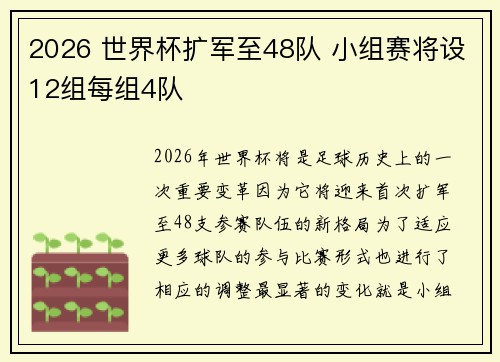 2026 世界杯扩军至48队 小组赛将设12组每组4队